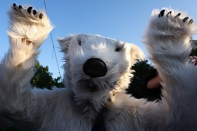 je suis un ours blanc ultra-moute
