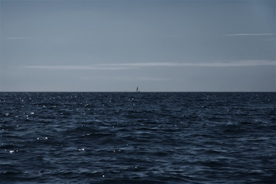 catamaran @ ocean
