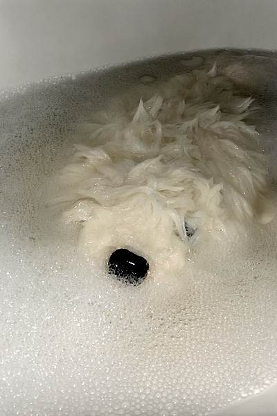 Furry prend un bain