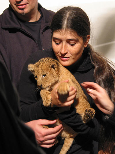 Fleur et le lionceau