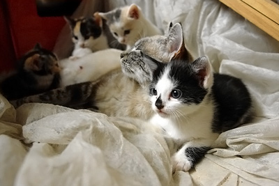 black&white en famille