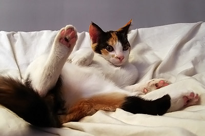 [sur le lit] Rhalalaaaa...