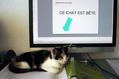 sur le bureau