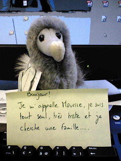 photographi&eacute; avec un mobile