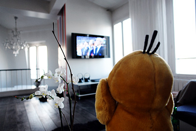 Psykokwak regarde la demi-finale