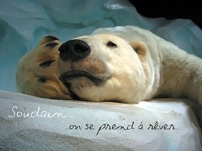 rétrospective – Soudain...