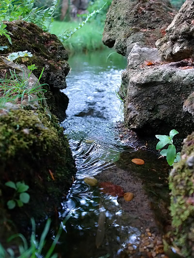ruisseau